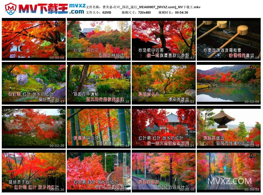 曹芙嘉-红叶_国语_流行_MEA00907